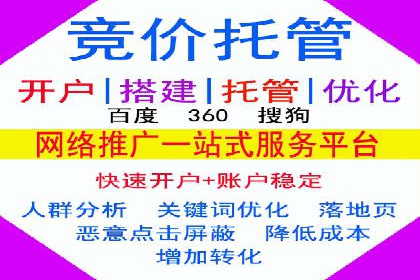 某电商平台的SEM推广策略分析